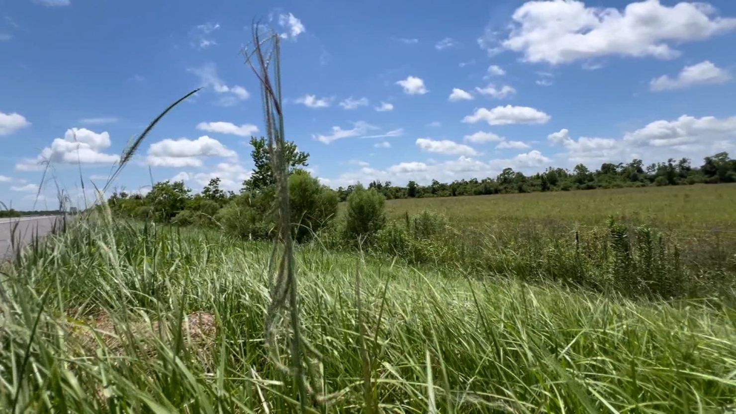 A ditch along Louisiana's I-10 near where the child was found.