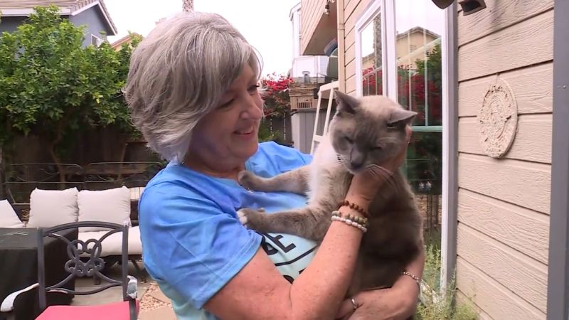 Cat lost in Yellowstone National Park finds owner in California