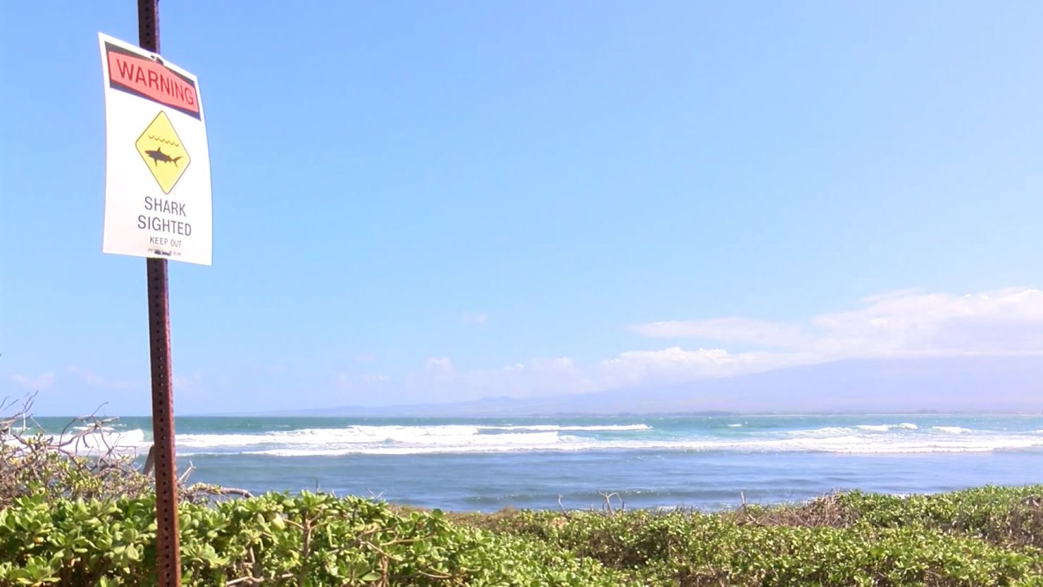 Shark attacks surfer near Maui beach | CNN
