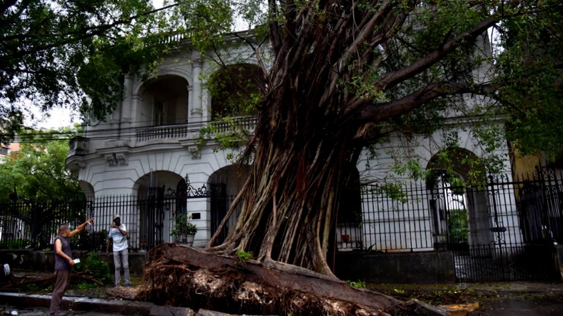 An entire tree is seen uprooted in Havana, Cuba, in the aftermath of Hurricane Rafael Thursday.