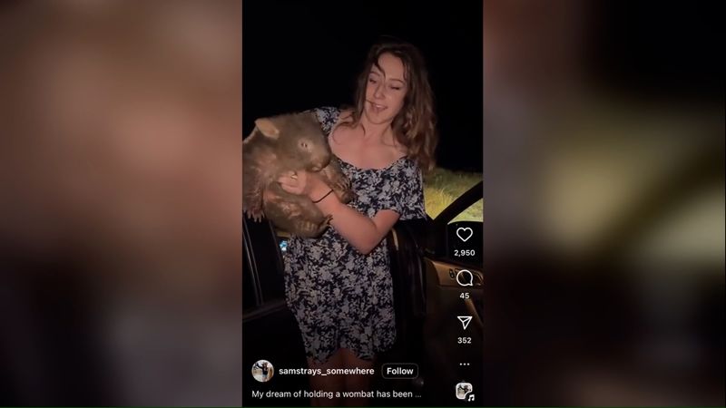 US tourist who sparked outrage picking up wombat says she was acting out of concern for the animal