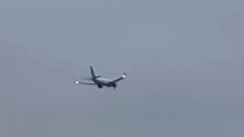 Самолетен двигател на United Airlines изстрелва огън, след като удари животно при излитане 