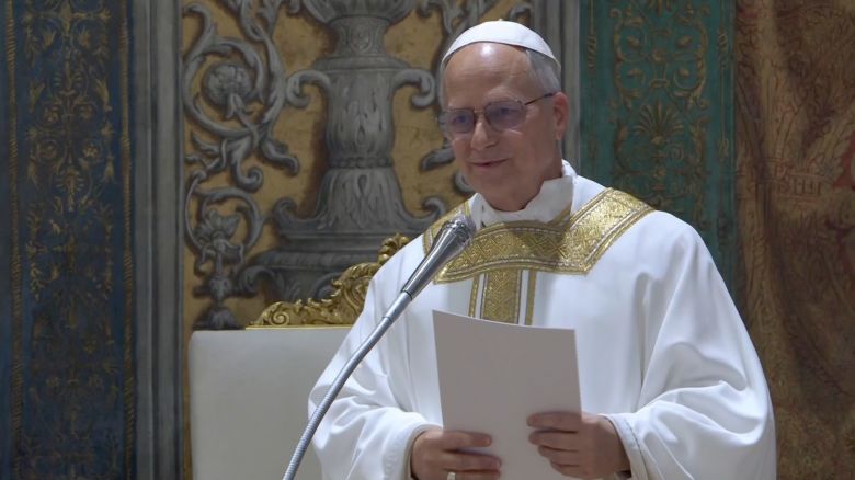 Pope Leo XIV delivering the homily.