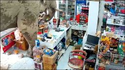 elephant thai shop