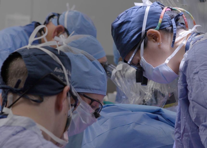 A well-orchestrated medical team – including plastic surgery, orthopedic surgery, transplant specialists, anesthesia and nursing – worked concurrently on Krizanac and the donor.