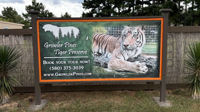 Tiger Kills Oklahoma Trainer, свързан с „Tiger King“ Joe Exotic 