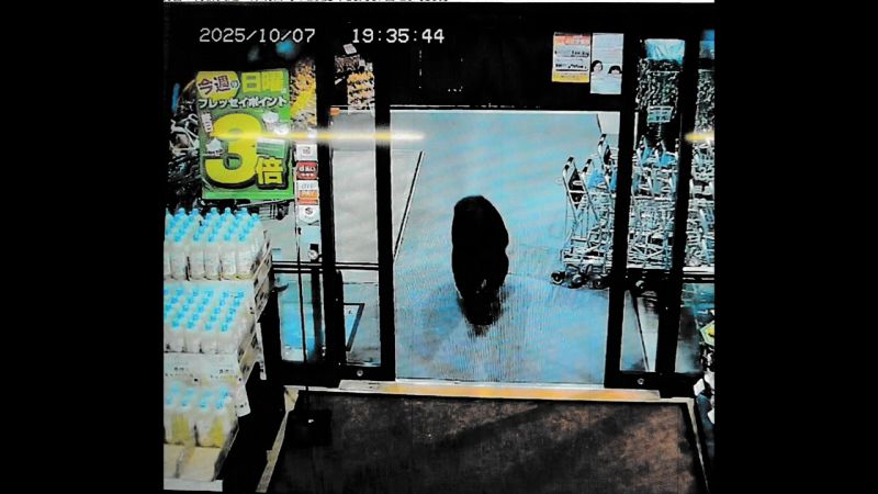 Bear enters Japanese supermarket, pounces on customer, as nationwide toll reaches new high Bear enters Japanese supermarket, pounces on customer, as nationwide toll reaches new high