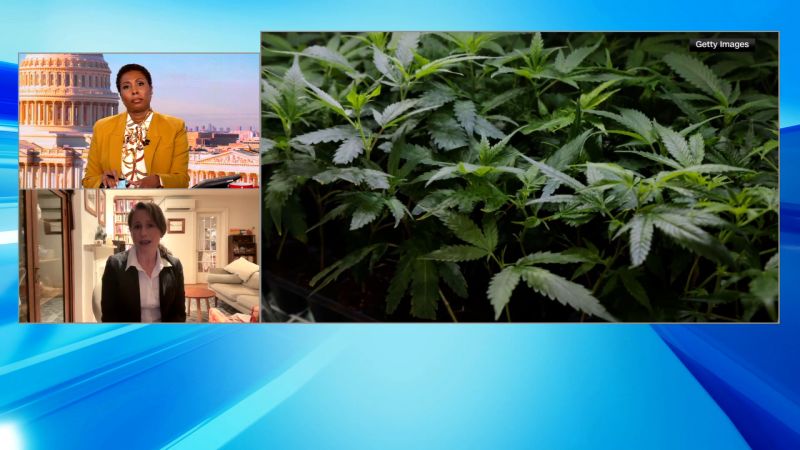 cnn.com - Cannabis Industry Pushes 'Green Wednesday' as Thanksgiving Tradition