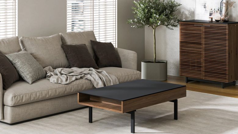 Living room with couch, plant, coffee table in the center and drawer against the wall.