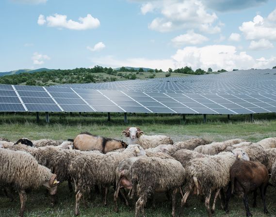 Suer Celina from Kosovo snapped a solar farm on the border shared with Serbia. Shortlist, Regional Awards.