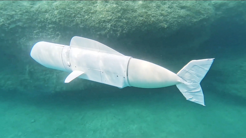 Erfahren Sie mehr über den Roboterfisch, der DNA sammelt und von Studenten in der Schweiz entwickelt wurde