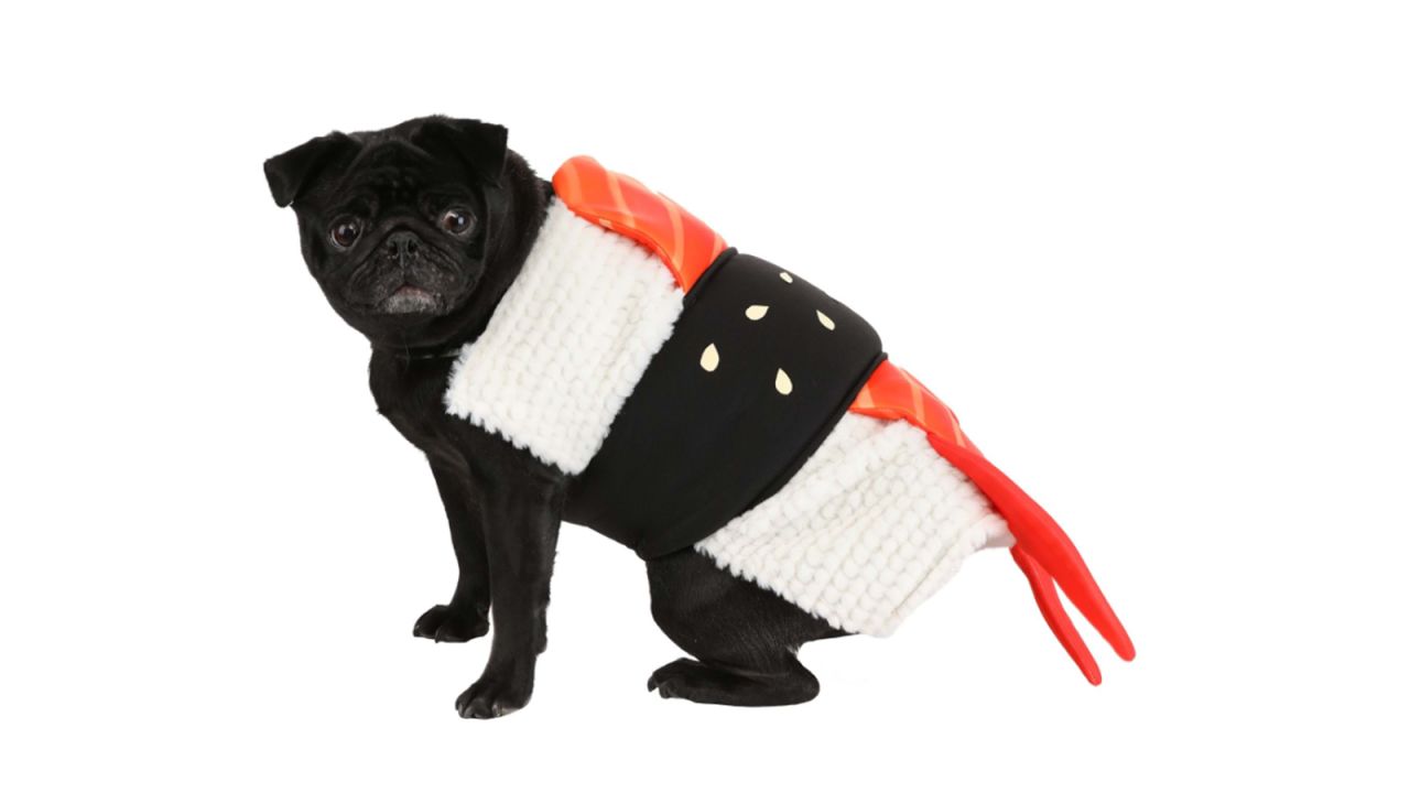 I Am Much More Invested in Your Dog's Halloween Costume Than Yours