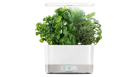 AeroGarden Harvest with Gourmet Herb Seed Pod Kit