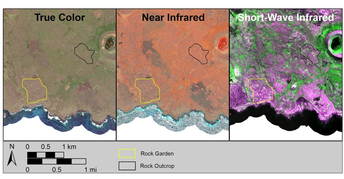 The new study determined ancient Rapa Nui's population by using a machine learning model trained to identify rock gardens from high-resolution shortwave infrared and near-infrared data gathered by satellite.