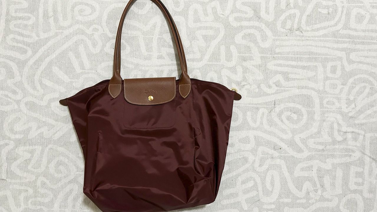 tamara-longchamp-bag.jpg