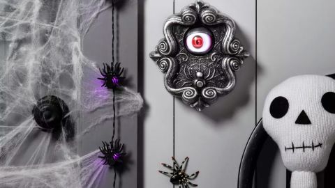 Animated eye doorbell in between a plush skeleton head and toy spider with spiderwebs. 