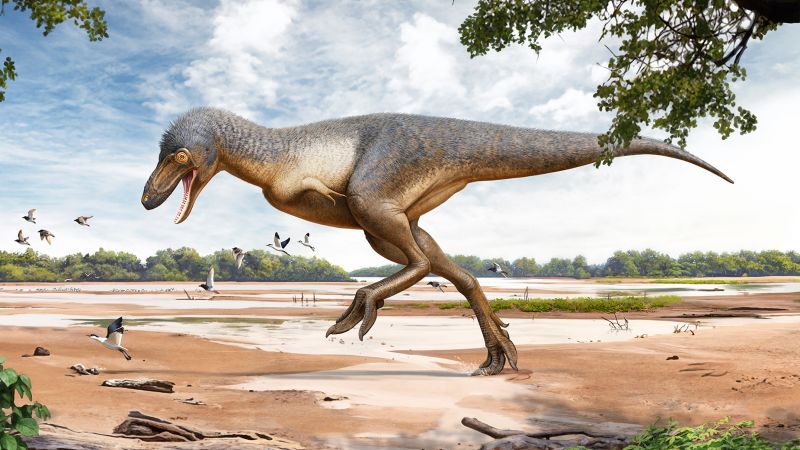 Туристическо семейство открива рядък фосил на T. rex