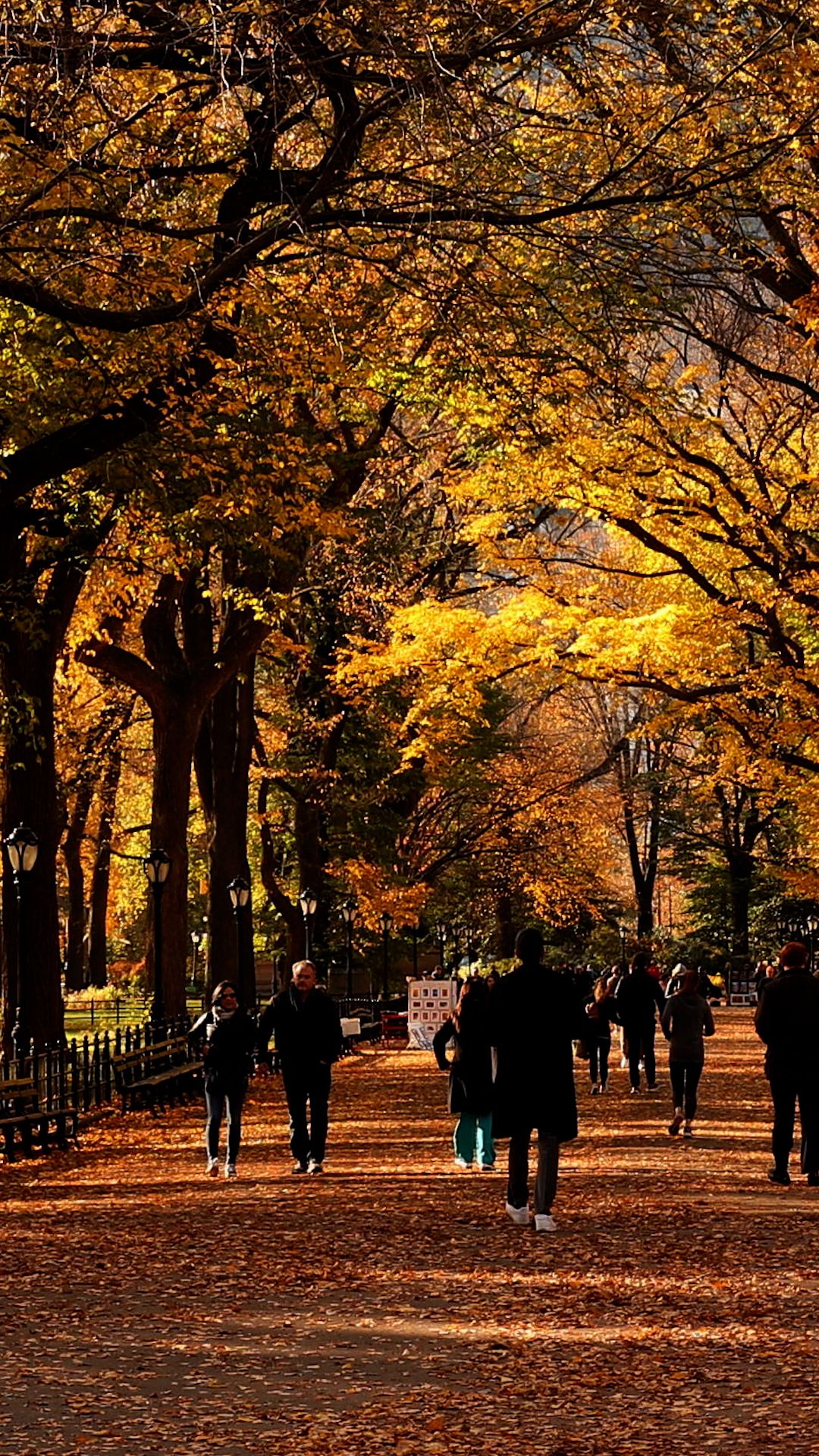 TEMP DROP FALL COMING.jpg