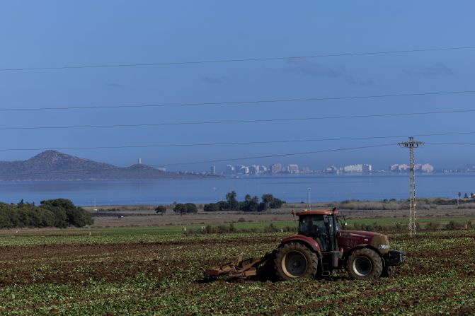 The environmental damage has been linked to the intensive agriculture in the surrounding region. Run-offs from nitrate-filled fertilizers entered the lagoon, causing extreme eutrophication – the accumulation of algae that depletes the water of oxygen.