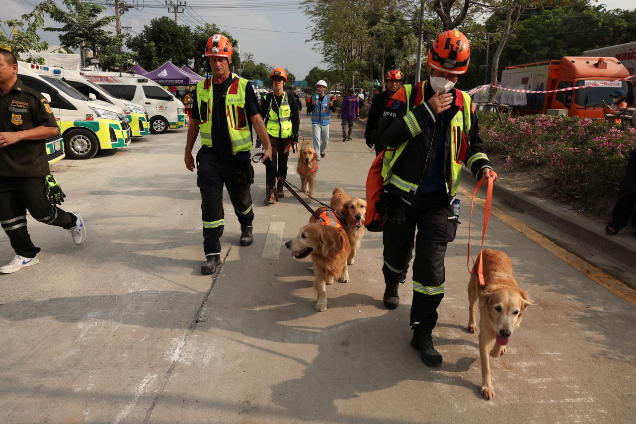 Perros de rescate caminan en el sitio del colapso de un edificio en Bangkok el sábado 29 de marzo.