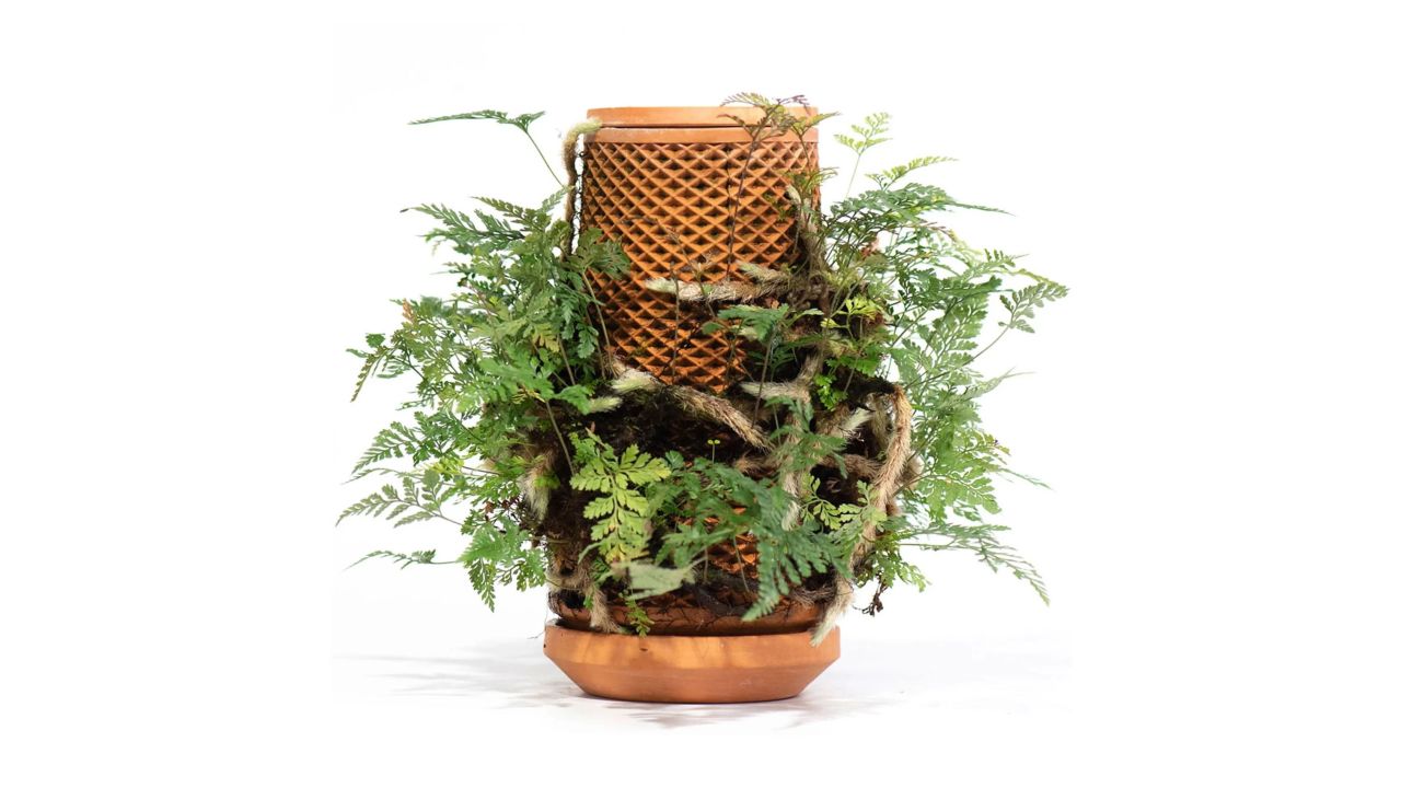 tevaplanter with greenery cnnu.jpg