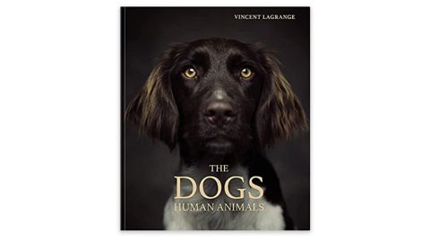 The Dogs: Human Animals