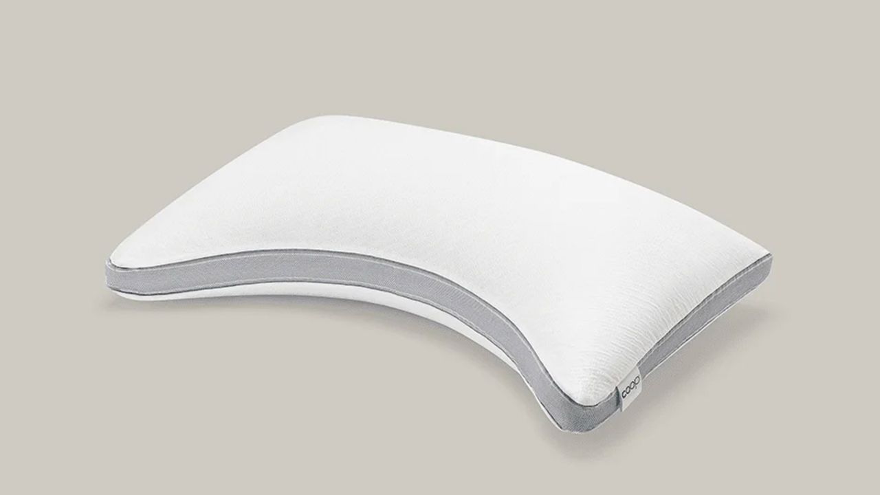 Coop Sleep Goods pillow