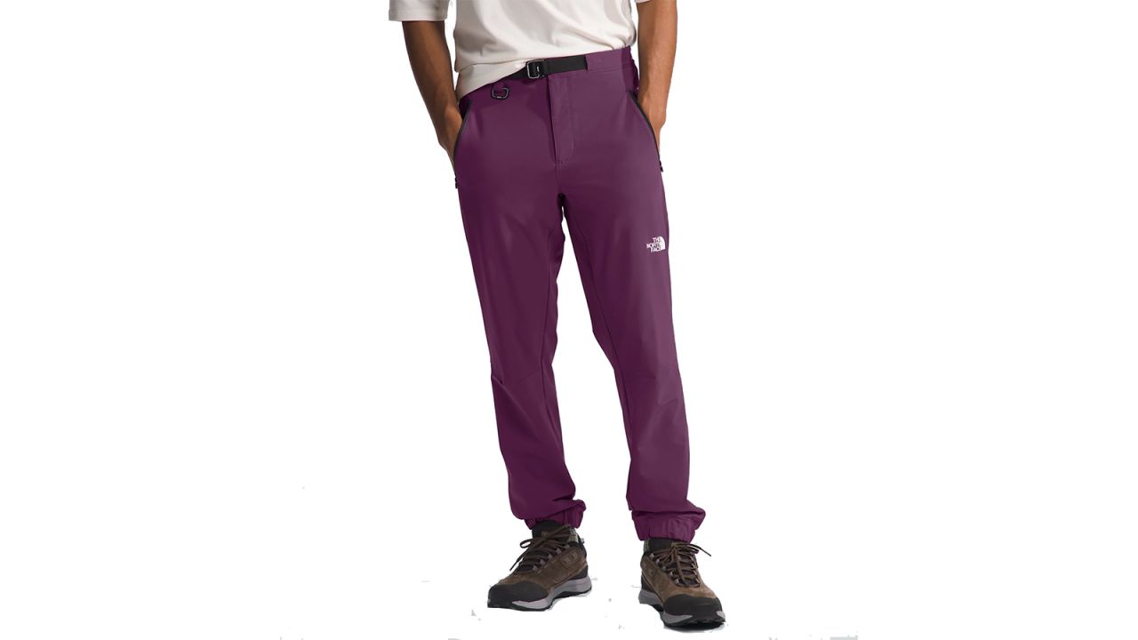 the north face paramount pro joggers.jpg