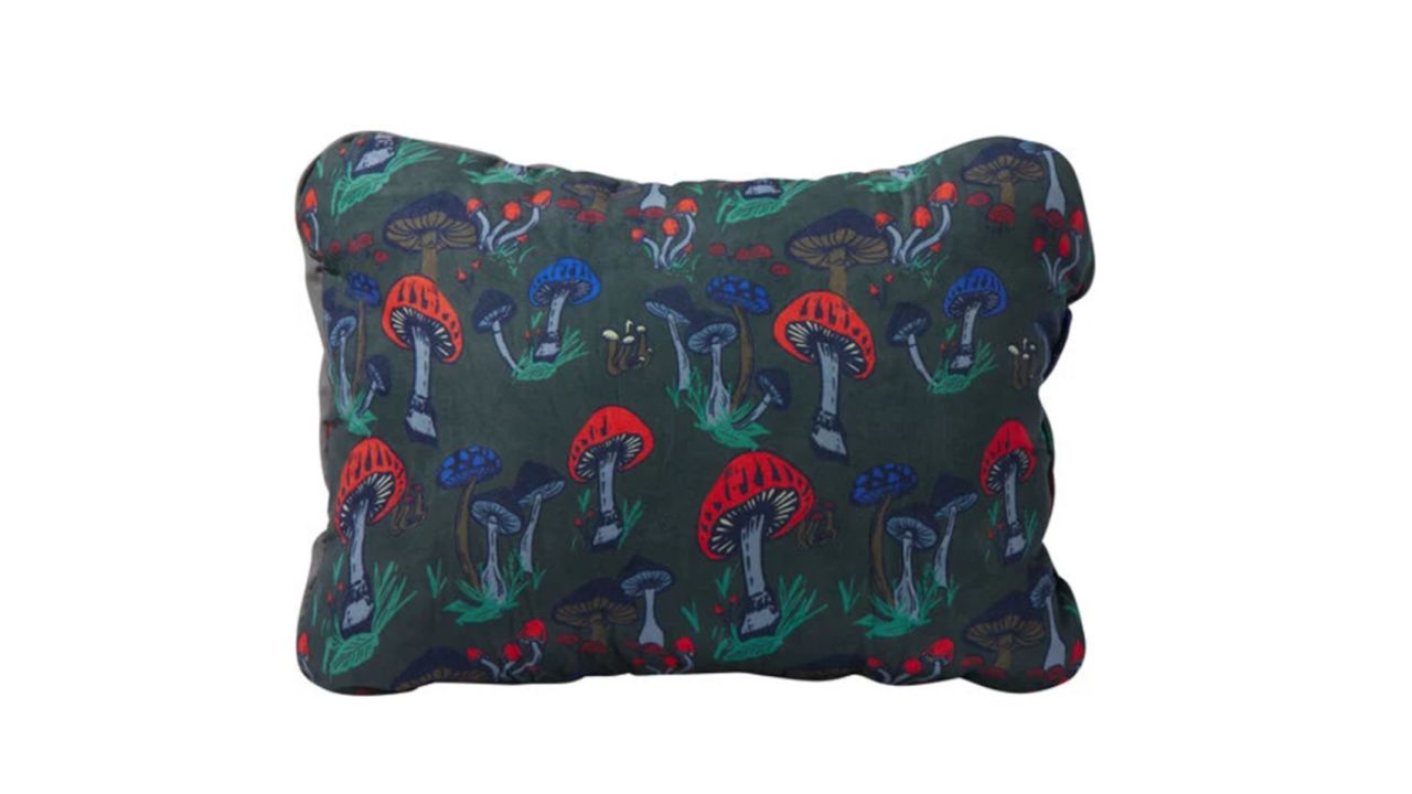 Therm-a-rest compressible pillow product card cnnu.jpg