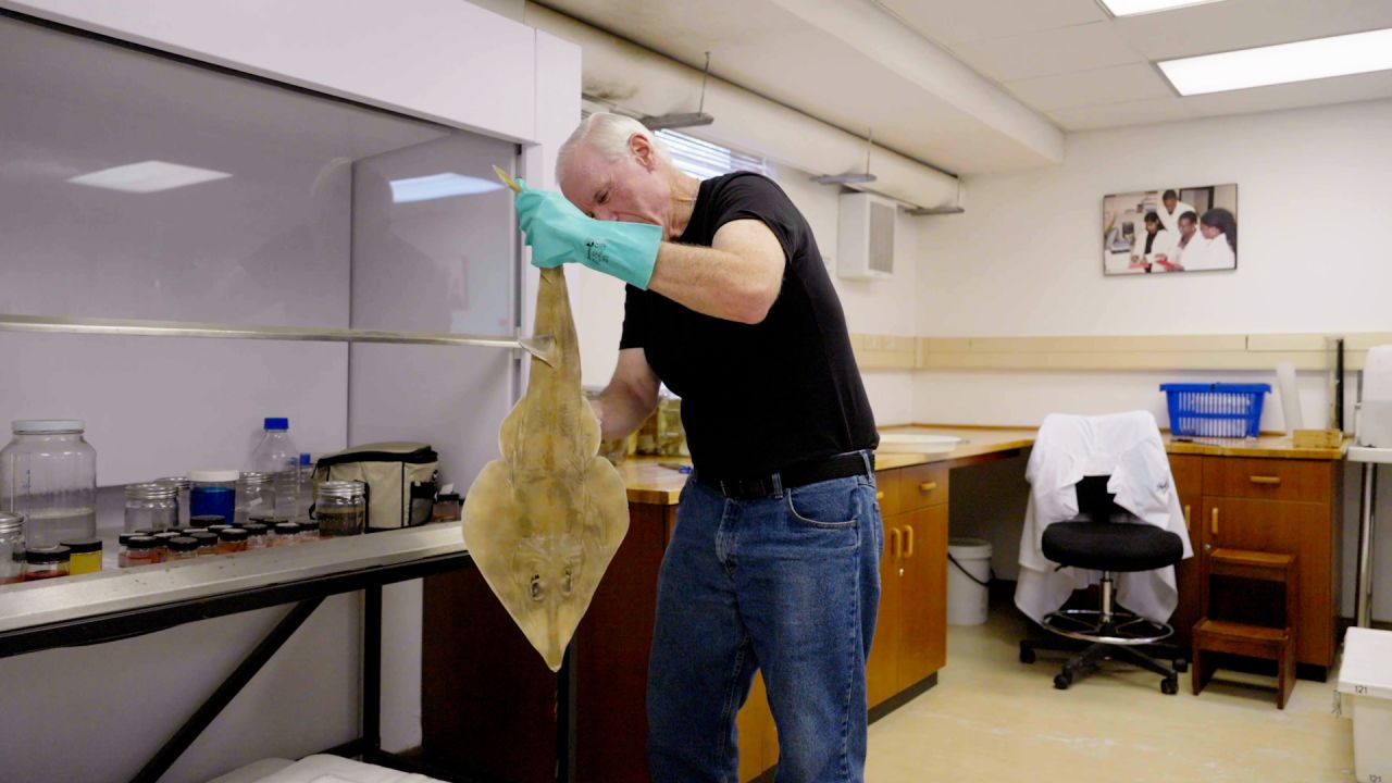 thumb ocean census 1.jpg