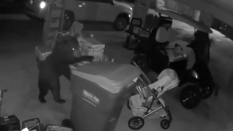 Video: Alabama bear gets caught stealing trash container | CNN