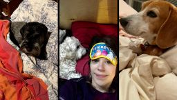 Thumbnail_01.jpg