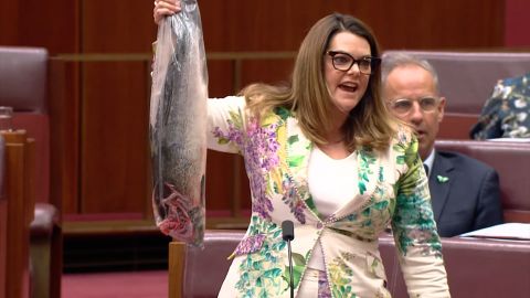 thumbnail senator fish 1.jpg