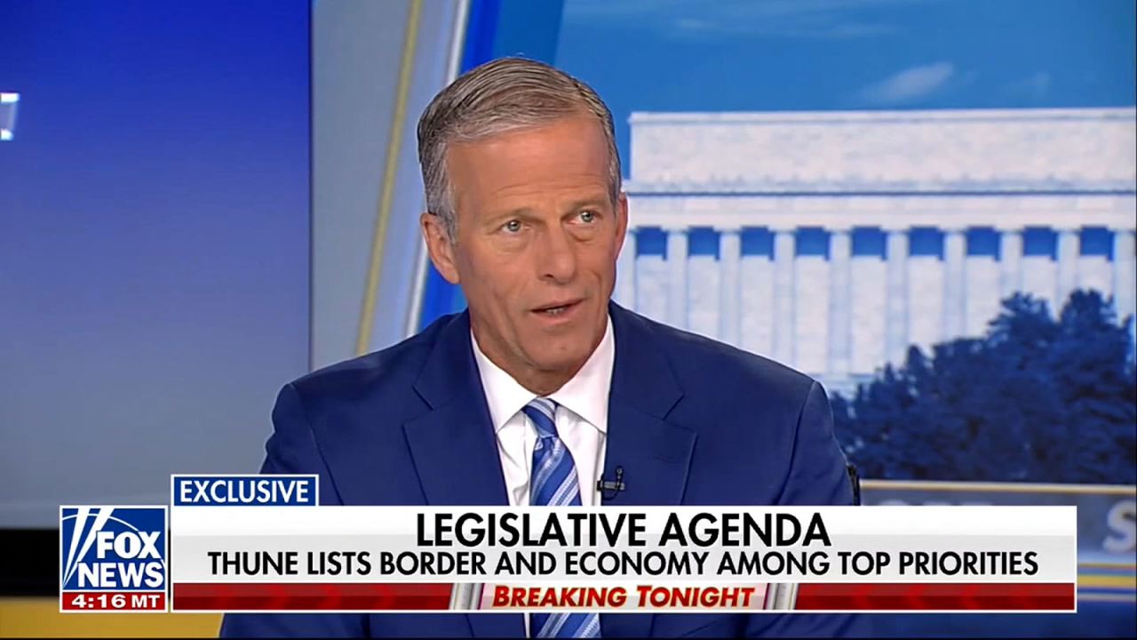 Senate Majority Leader-elect John Thune appears on Fox News on Thursday, November 14.