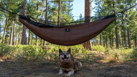 OneTigris Hideout Hammock Underquilt