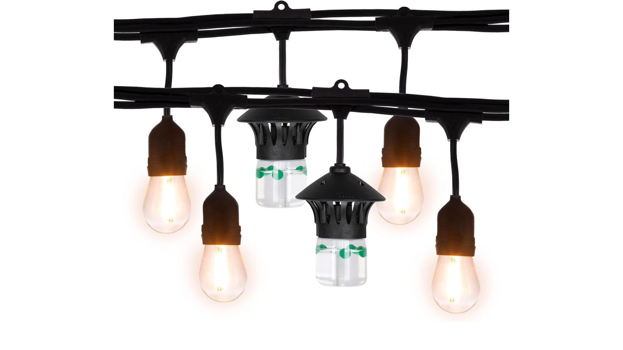 tiki brand bitefighter string lights cnnu.jpg