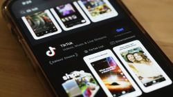 TikTok está resistiéndose a una ley estadounidense que exige que ByteDance, su matriz china, la venda o se enfrente a una prohibición el próximo año.