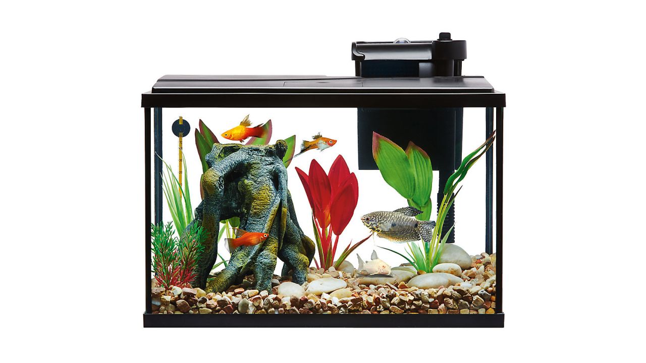 Top Fin Essentials Aquarium Starter Kit product card CNNU.jpg