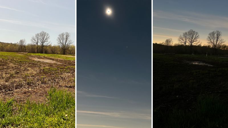 Total solar eclipse reveals how birds depend on light and dark for biological cues