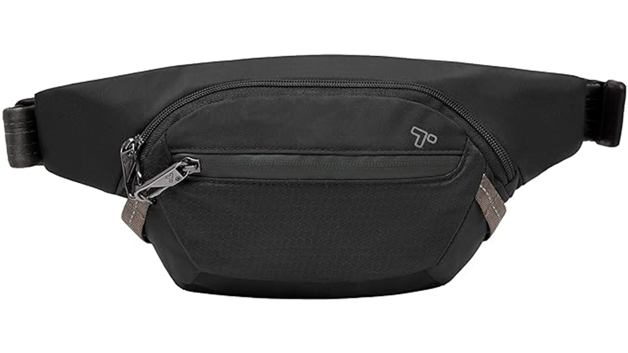 Travelon Anti-Theft waist pack stock photo.png