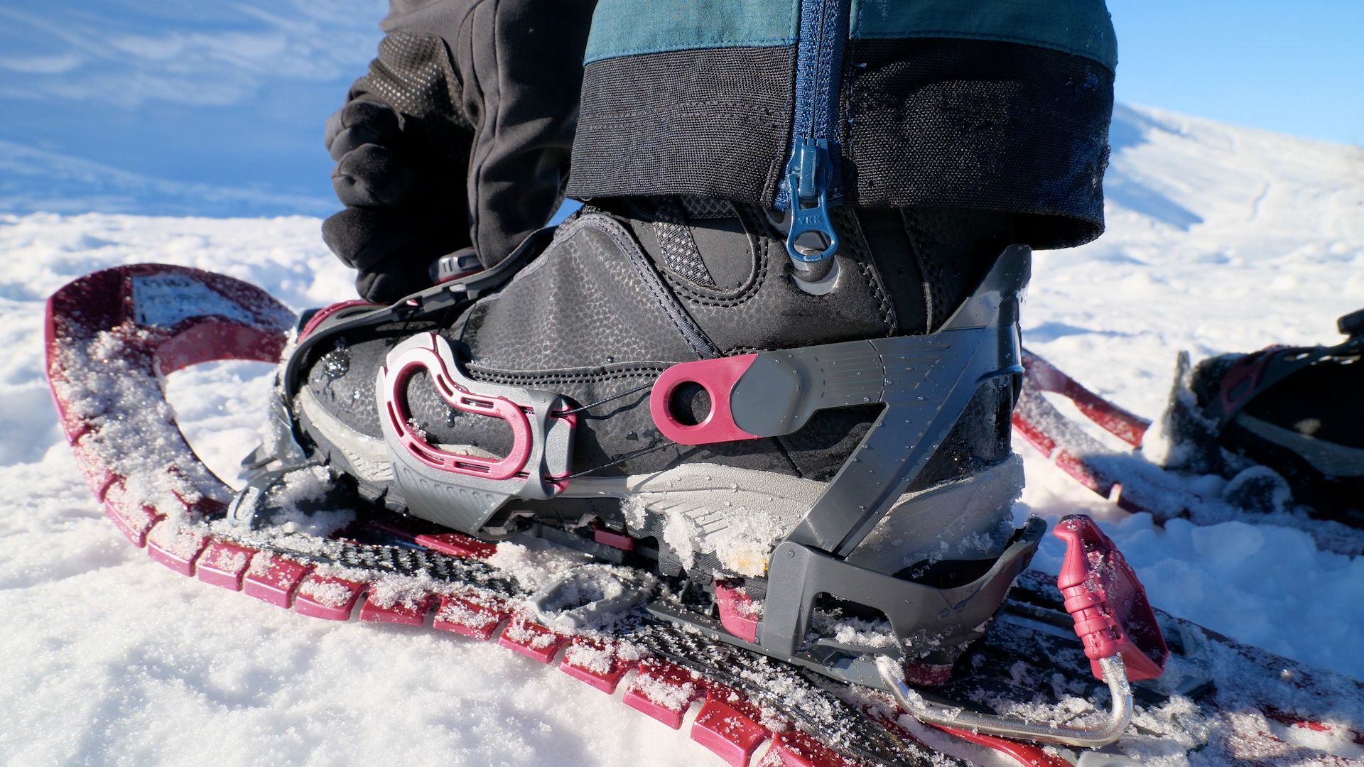 How to snowshoe for beginners Tips and tricks for snowshoeing safely