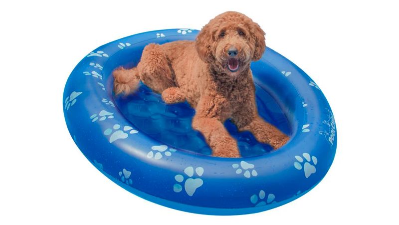 Dog pool float with 2024 canopy