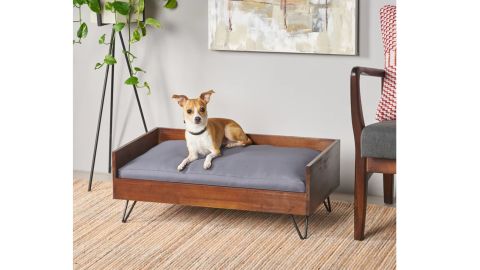 Tucker Murphy Pet Kaylor Mid Century Modern Dog Sofa