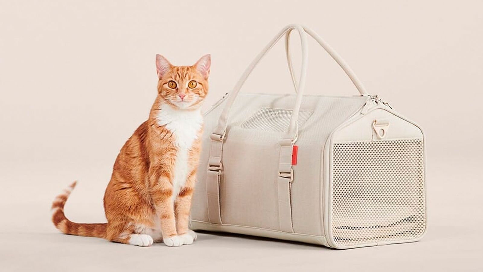 6 Best Cat Carriers for Large Cats in 2024 – tuft + paw
