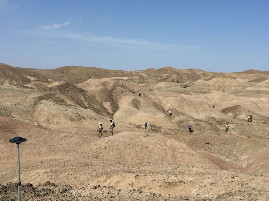 The Ledi-Geraru Research Project paleontological team looks for fossils in the Afar Region's Lee Adoyta Basin.