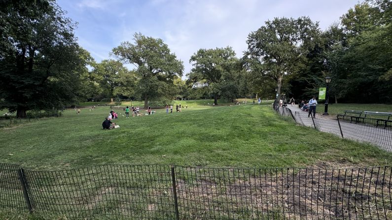 A wide angle view of the park that's slightly darker