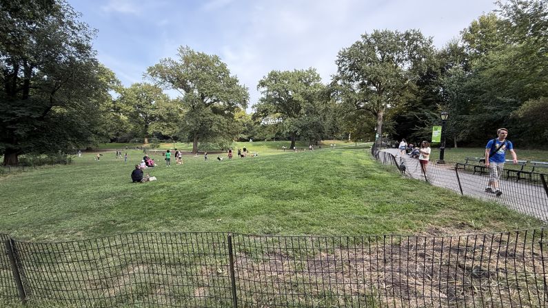 An ultrawide view of a nice day in the park, with green grass, slightly cloudy sky and some people