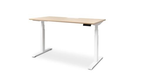 underscored_best tested products_standing desk_branch adjustable standing desk.jpeg