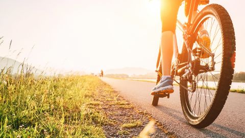 underscored bike travel cases lead