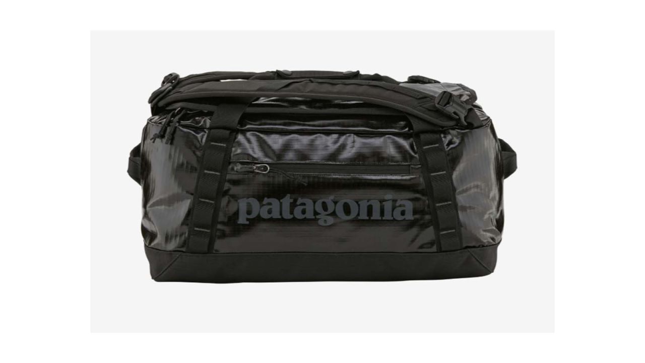 Patagonia Black Hole Duffel